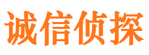 大关市调查公司